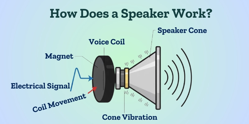 How Does A Speaker Work