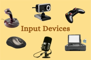 What are Input Devices and How It Works