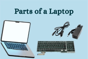 Parts of a laptop Explained - Easy Guide for Beginners(2025)