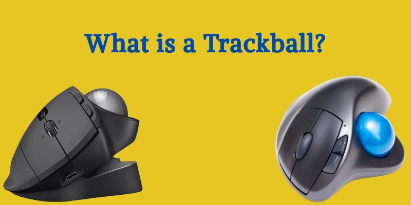What Is Trackball