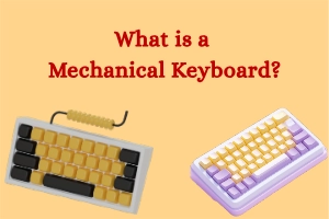 What Is a Mechanical Keyboard? Find Out Why It’s Better