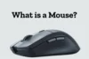 What Is a Mouse? Learn Its Role in Computers Today - Post Thumbnail