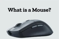 What Is a Mouse? Learn Its Role in Computers Today
