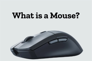 What Is a Mouse? Learn Its Role in Computers Today