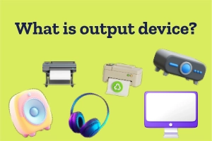 Explore What Are Output Devices with Real Examples