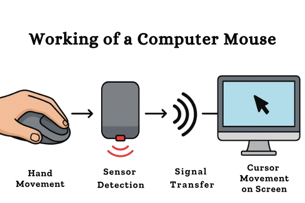 Working Of A Computer Mouse Working Of A Computer Mouse
